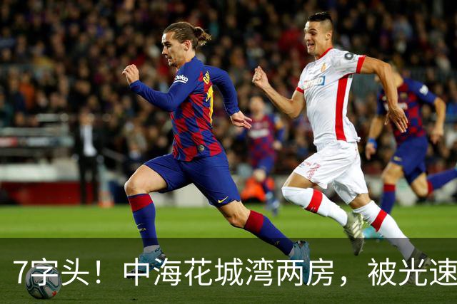 7字头！中海花城湾两房，被光速捡漏